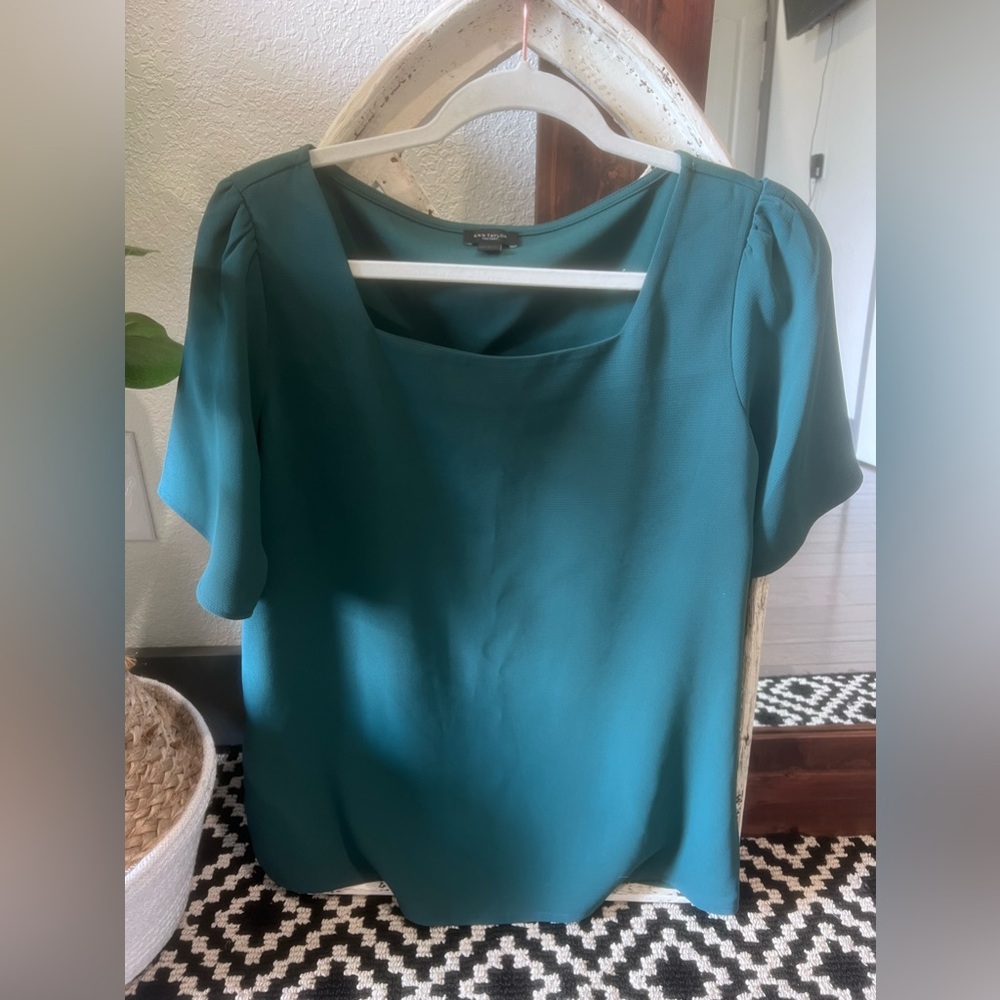 Ann Taylor Top